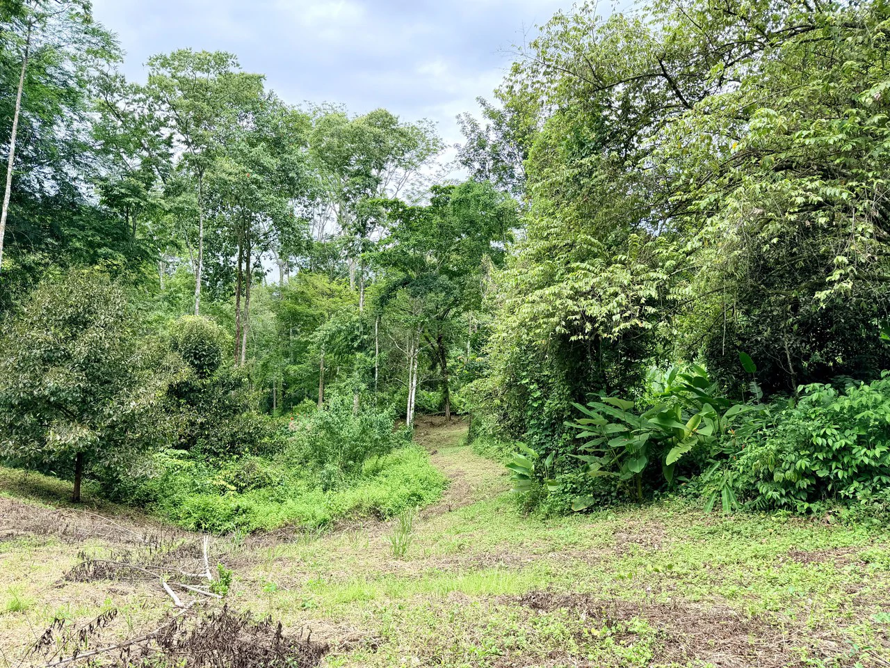 La Unión Road Development – Buildable Lots with River Access in Uvita - photo 6