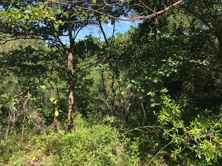 HIGHWAY TO HEAVEN: Commercial potential ! Large property on the Panamerican Highway. - Gallery image 12