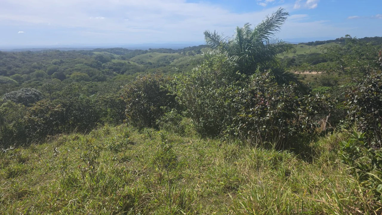 Mountain Property for Sale with charming 360º views of Guayabos Valley and the Volcanoes - Gallery image 51