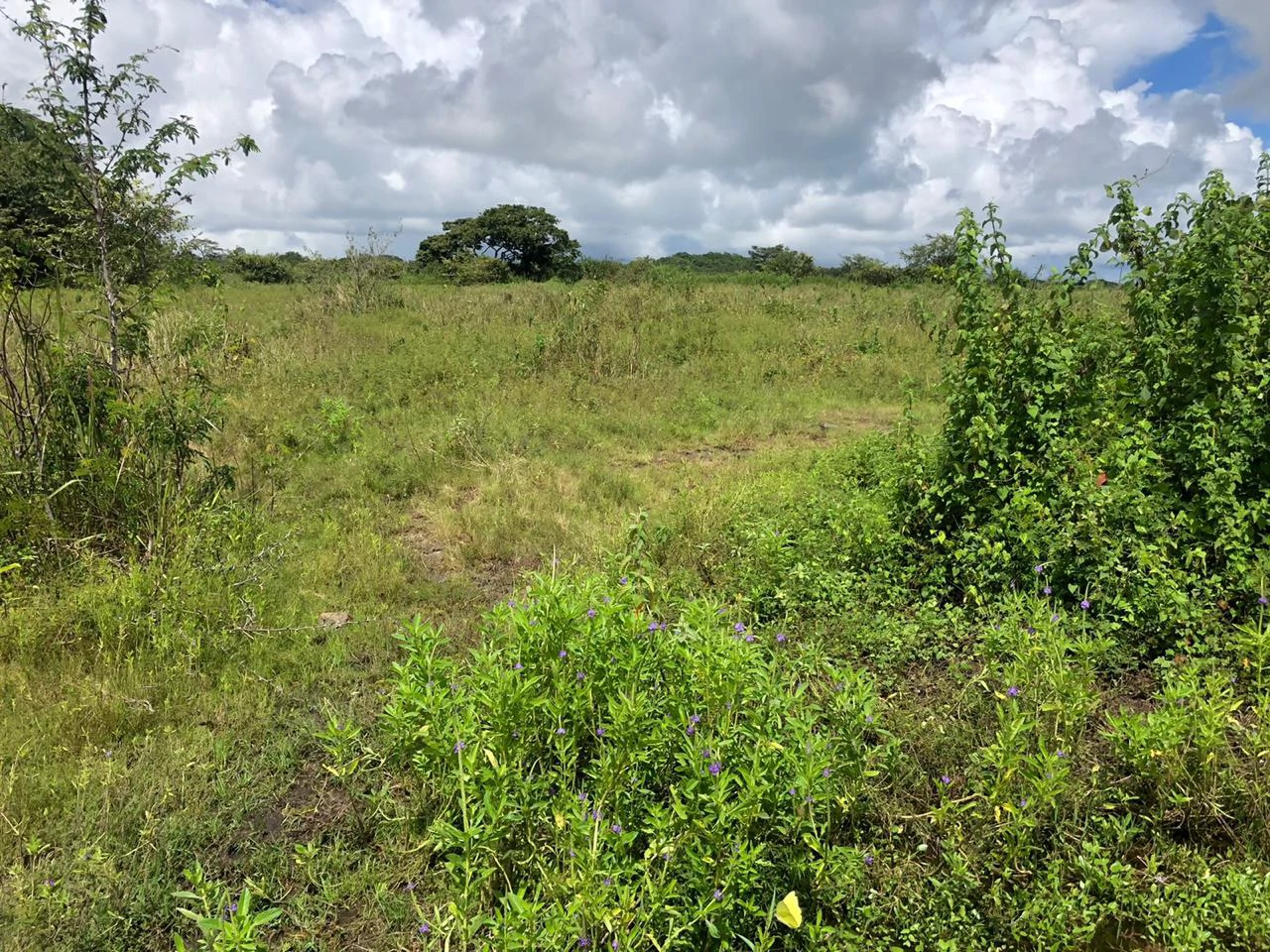 Development property for sale, Building project opportunity close to Liberia Airport and City with beautiful Flat property - Gallery image 10
