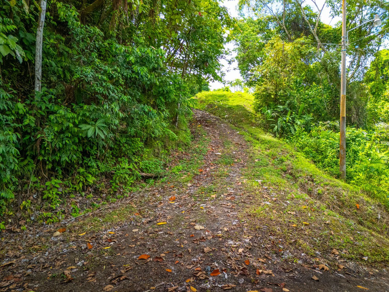 Tropical Paradise in Cascada Sándalo, Tres Ríos Ocean & Mountain Views | Gated Community | Abundant Nature - Gallery image 9