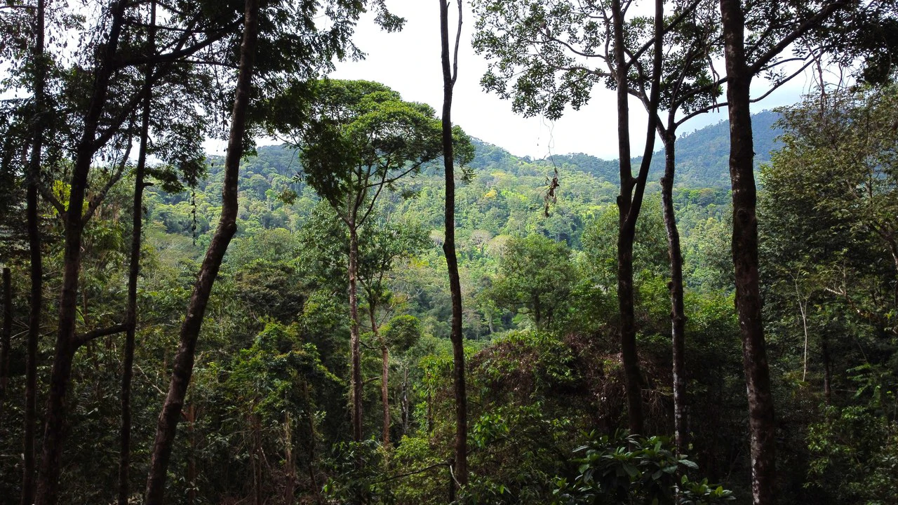 Mountain View Building Lot in Prestigious Gated Community With Private Waterfall & Two Building Sites: Mountain Home Construction Site For Sale in Portalon - Gallery image 13