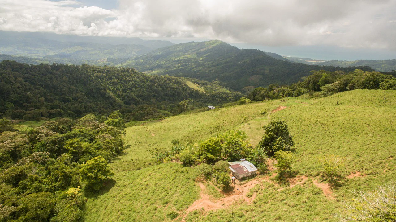 Off Grid 70-Hectare Farm with Stunning Ocean Views and Freshwater Springs - Gallery image 23