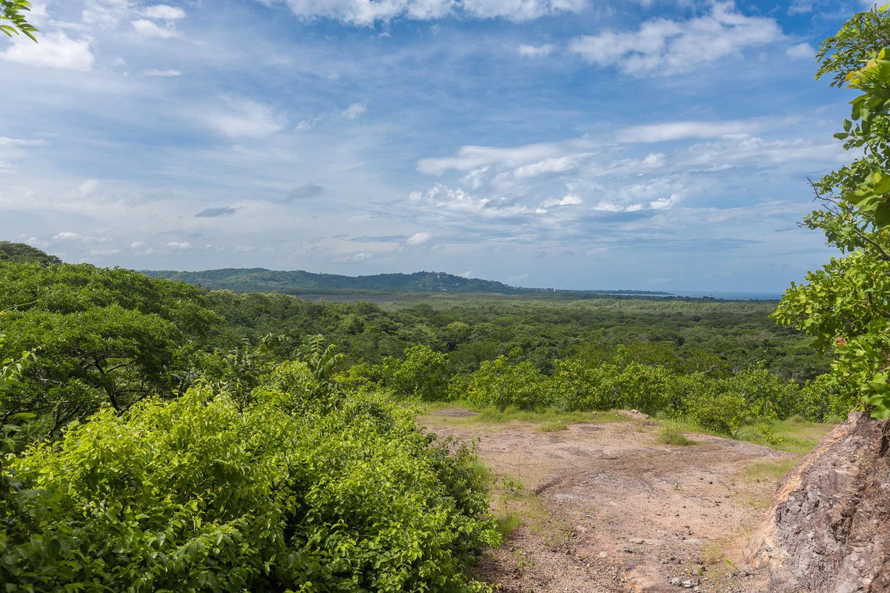 Ocean Views in Playa Grande: 2 Adjacent Ocean View Lots - 1 Great Price! - Gallery image 11