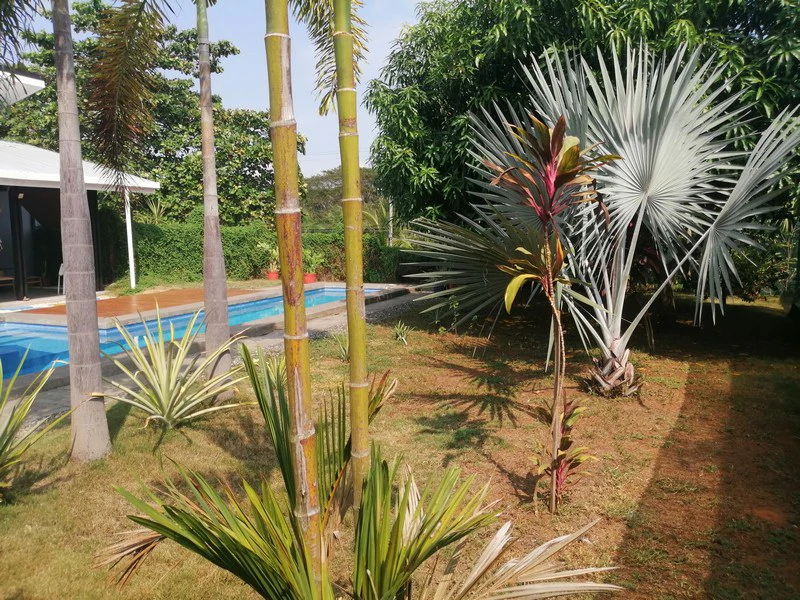 Beautiful Casa Irina, with pool and large yard: Close to the beach in tranquil Monterrey! - Gallery image 35