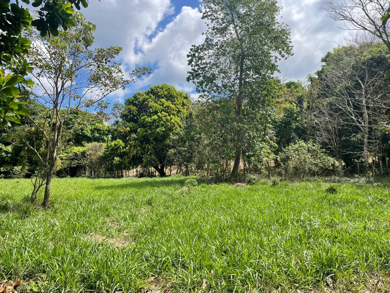 Peace, Privacy, Nature!: Finca in Eco friendly natural area - Gallery image 6