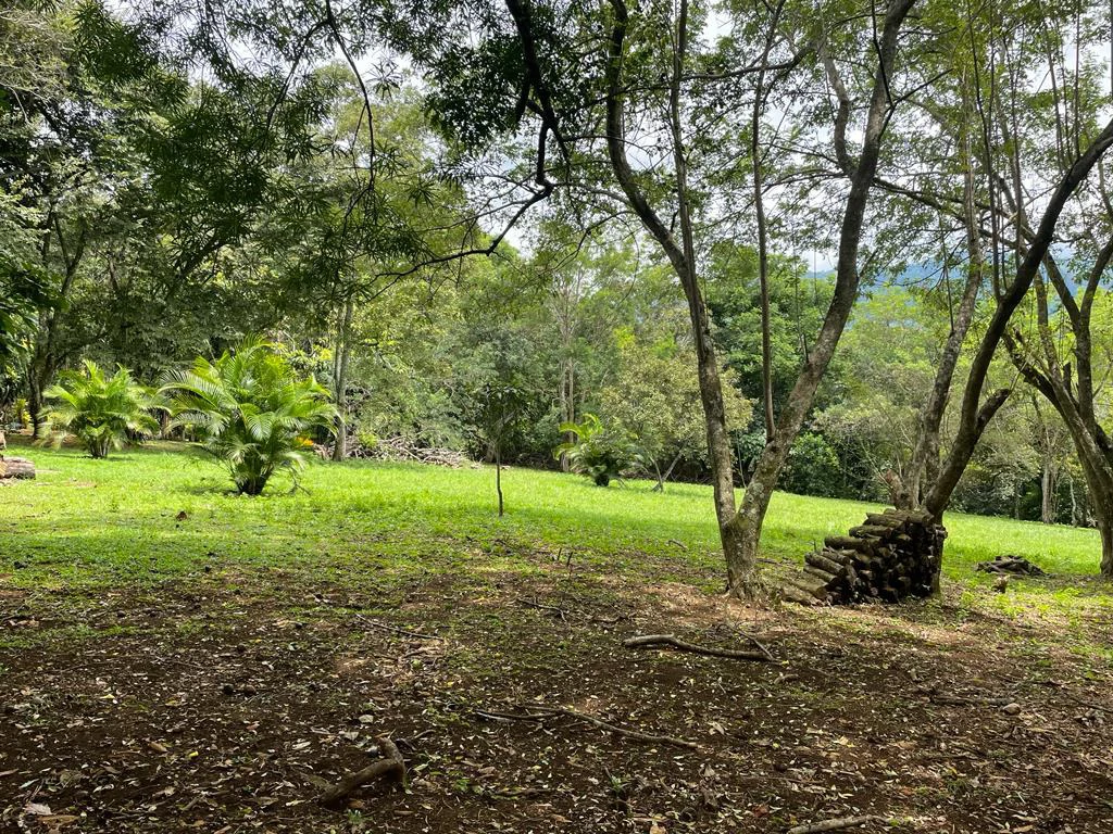 PROPIEDAD PARA INVERSION SABANA LARGA ATENAS: INVESTMENT PROPERTY