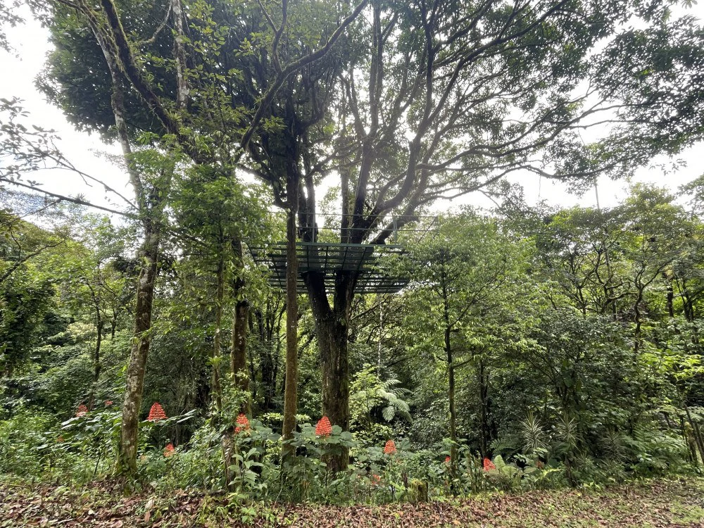 Nuevo arenal: Looking for a Property to Develop Family Residences with Lake Views? - Gallery image 3