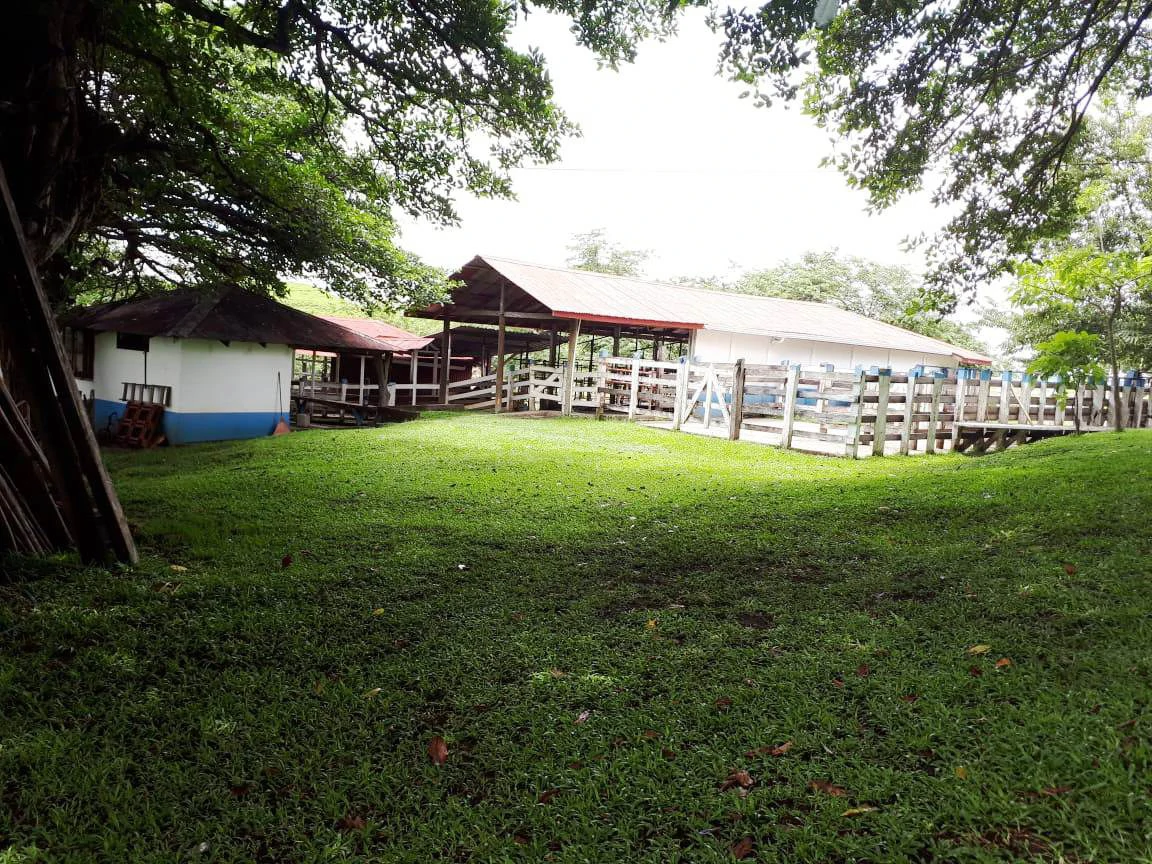 HACIENDA LOMBARDIA : Fully Operating Livestock Business - Gallery image 11