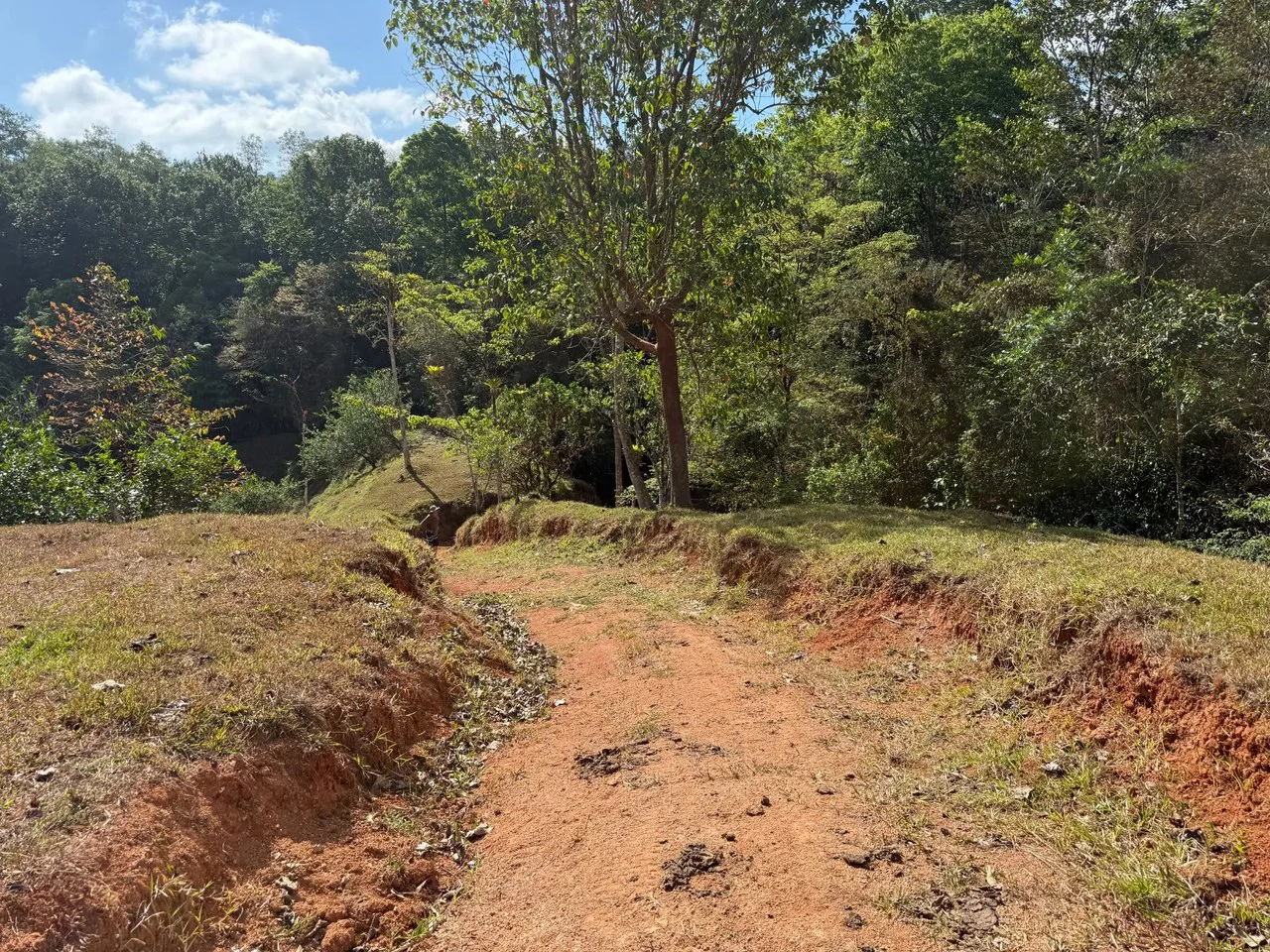 11.4 Hectare Mountain Estate: Lush Forest, River & Farm Potential in Arenal Puriscal , San Jose - Gallery image 14