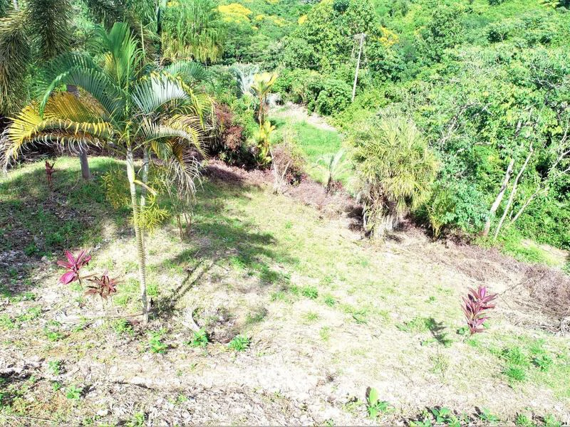 Captivating 3.15-Acre Property: Huge Pricedrop! Firesale Oceanview Lot in Tres Rios - Gallery image 13