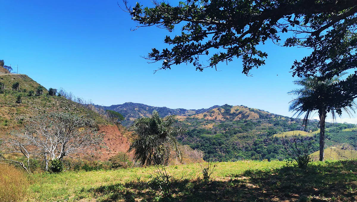 ID 3700: Price Slash! Ocean and Mountain View Lot close to Atenas and the beach - Gallery image 16