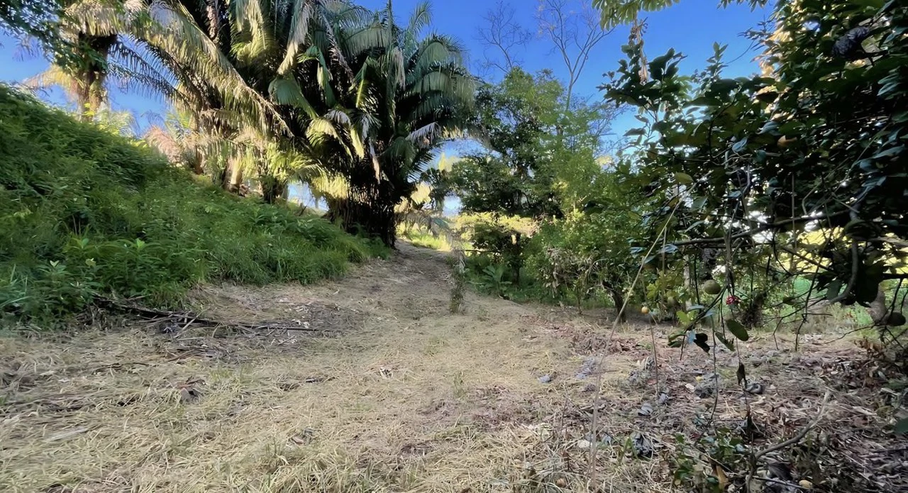 Exclusive Hermosa 1.2 Acre Lot with Panoramic Mountains and Ocean View. - Gallery image 16