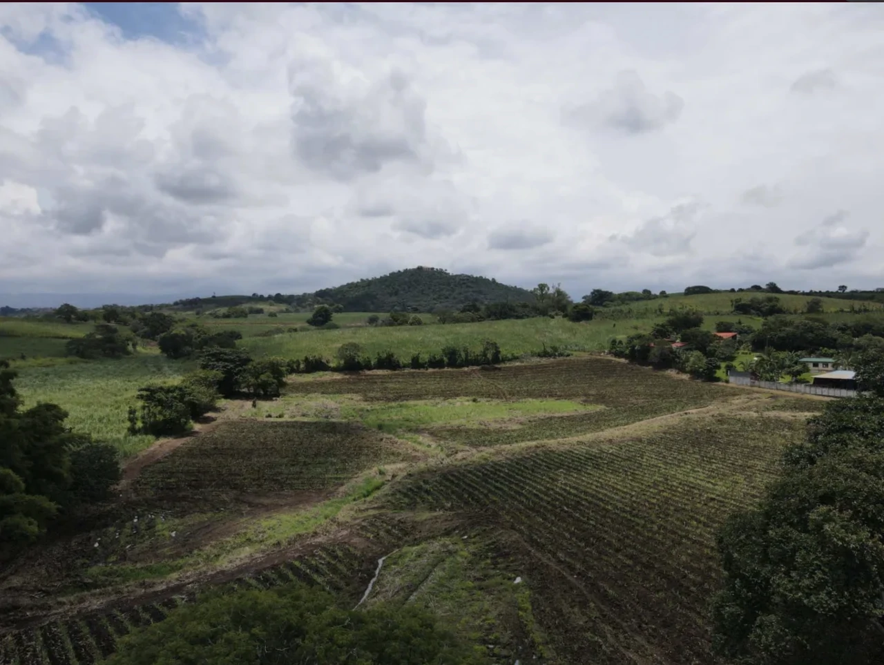 LAND FOR SALE, ALAJUELA, GRECIA - Gallery image 5
