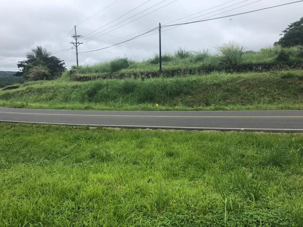 Lot with High Development Potential in Bijagua, Valle de Miravalles, Costa Rica - Gallery image 2