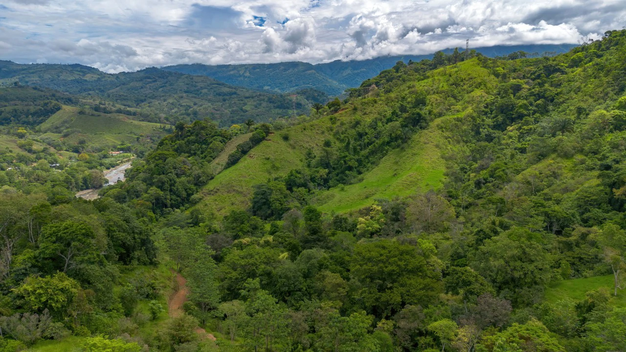 60+ Hectares in Platanillo | Own Your Own Mountain in Costa Rica - Gallery image 35