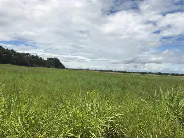 Large Development Land for Sale in Liberia, Guanacaste, Costa Rica - Gallery image 57