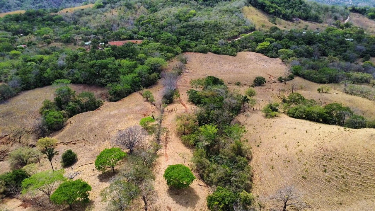 37-Hectare Ocean View Development Property Near Sámara, Buena Vista & Barrigona - photo 7