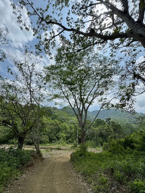 Finca Herradura, Frente a Los Sueños: Development Land Herradura - Gallery image 6
