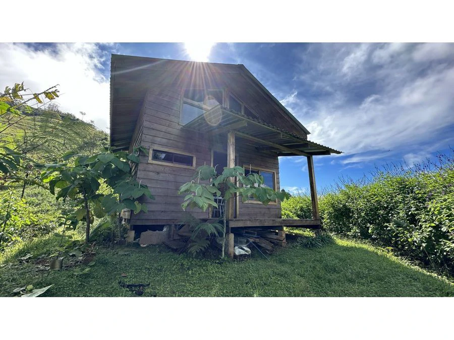BEAUTIFUL MOUNTAIN VIEW FINCA WITH CABIN IN RIO NUEVO - Gallery image 15