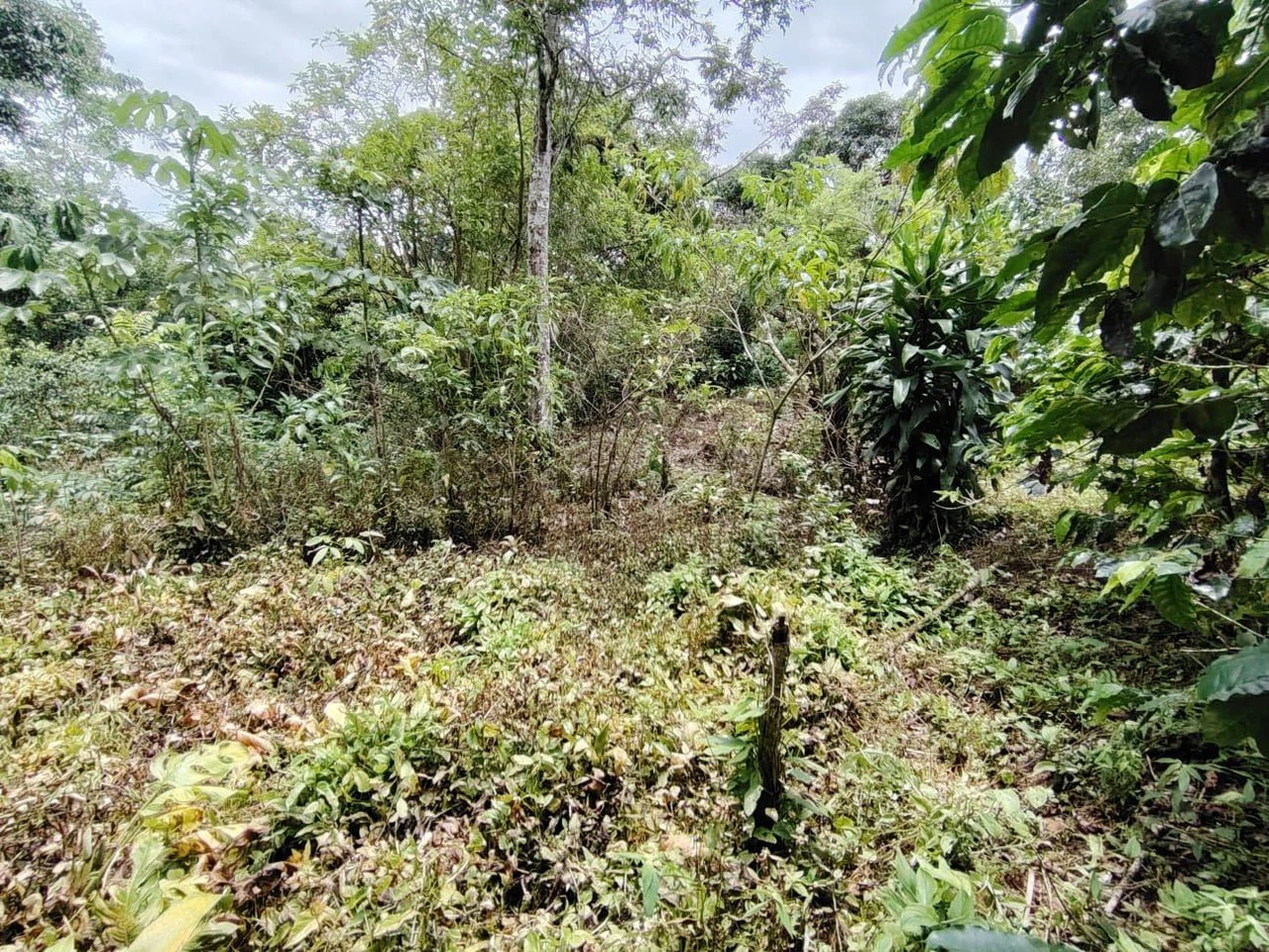 Home Construction Site For Sale in General Viejo - Gallery image 12