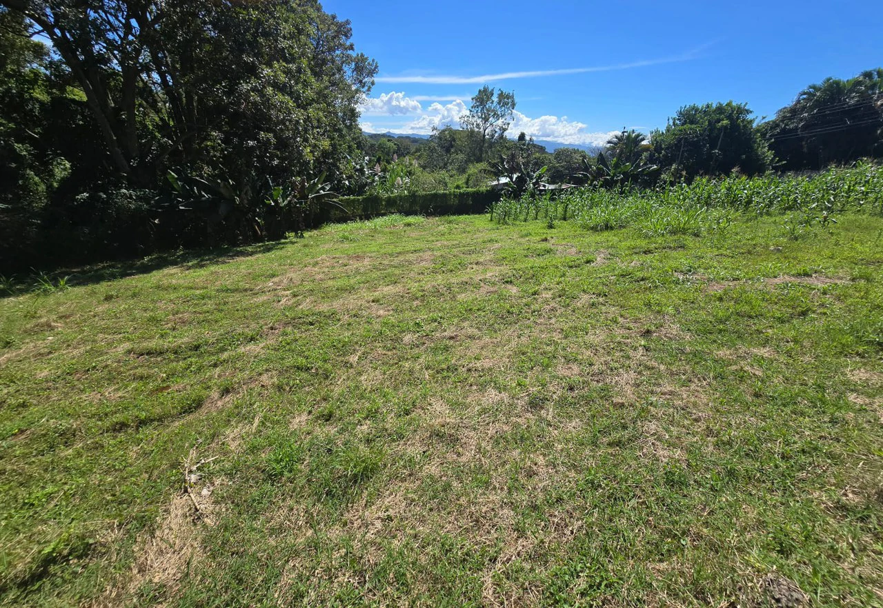 Land for sale in Tambor, Alajuela - Gallery image 13