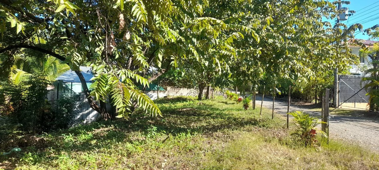 Playa Carrillo Lot: 200 meters to Playa Carrillo - Gallery image 10