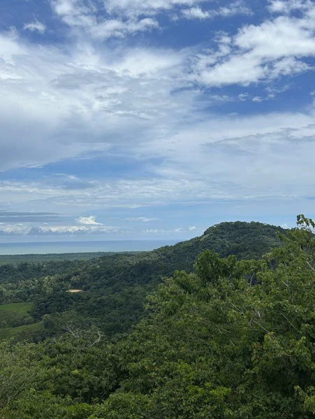 Panoramic 180 Degree Ocean View Lot Ready To Build Close To Ojochal - Gallery image 50