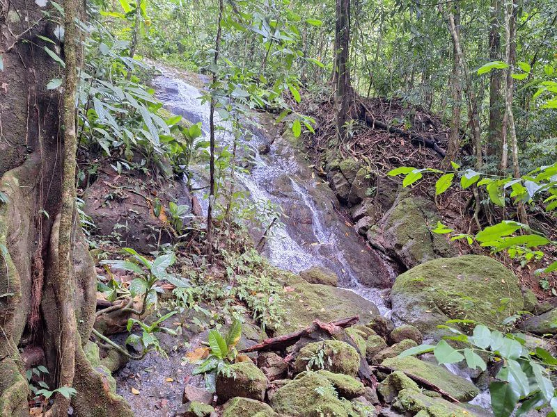 Tropical Paradise with Breathtaking Diamate Waterfall Views - Gallery image 2