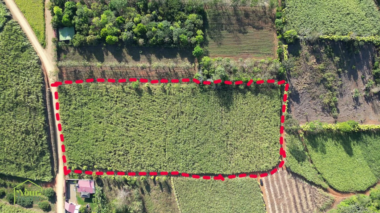 Lote Brisas del Cajon: BEAUTIFUL LOT FOR SALE IN THE HEART OF BRISAS DE CAJON