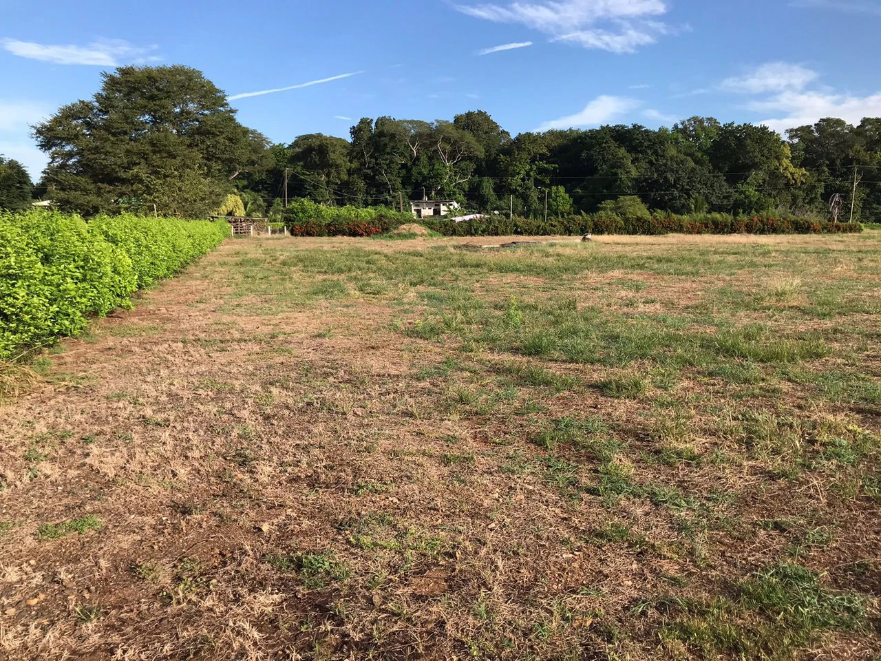 Barrio Limón in Santa Cruz – Excellent future location for a residential project with 130 water connections, investment opportunity - Gallery image 4