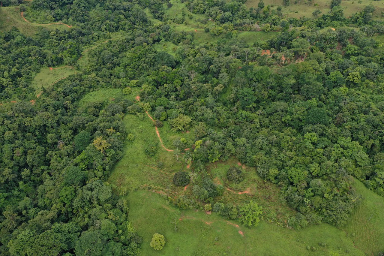 19 Acre Riverfront Lot with Private Waterfall la Perla Dominical - Gallery image 21