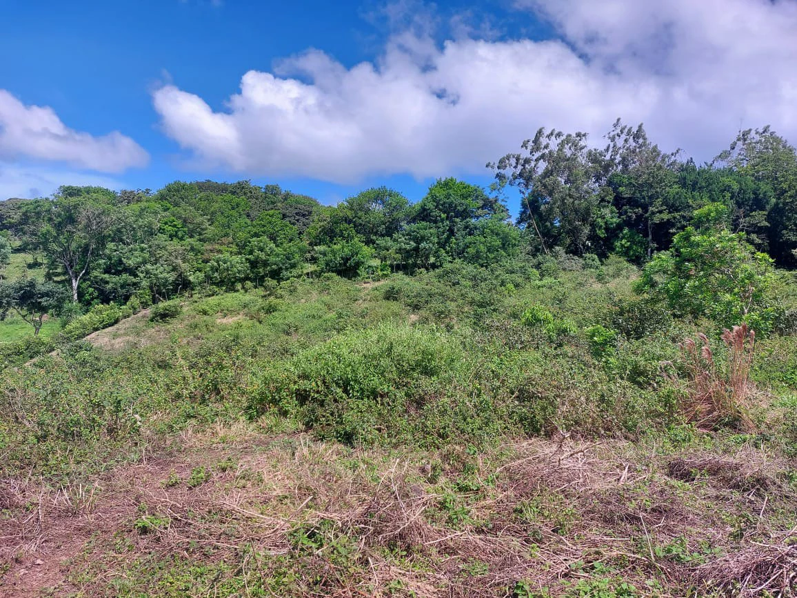 FINCA LA TEJONA - Gallery image 6