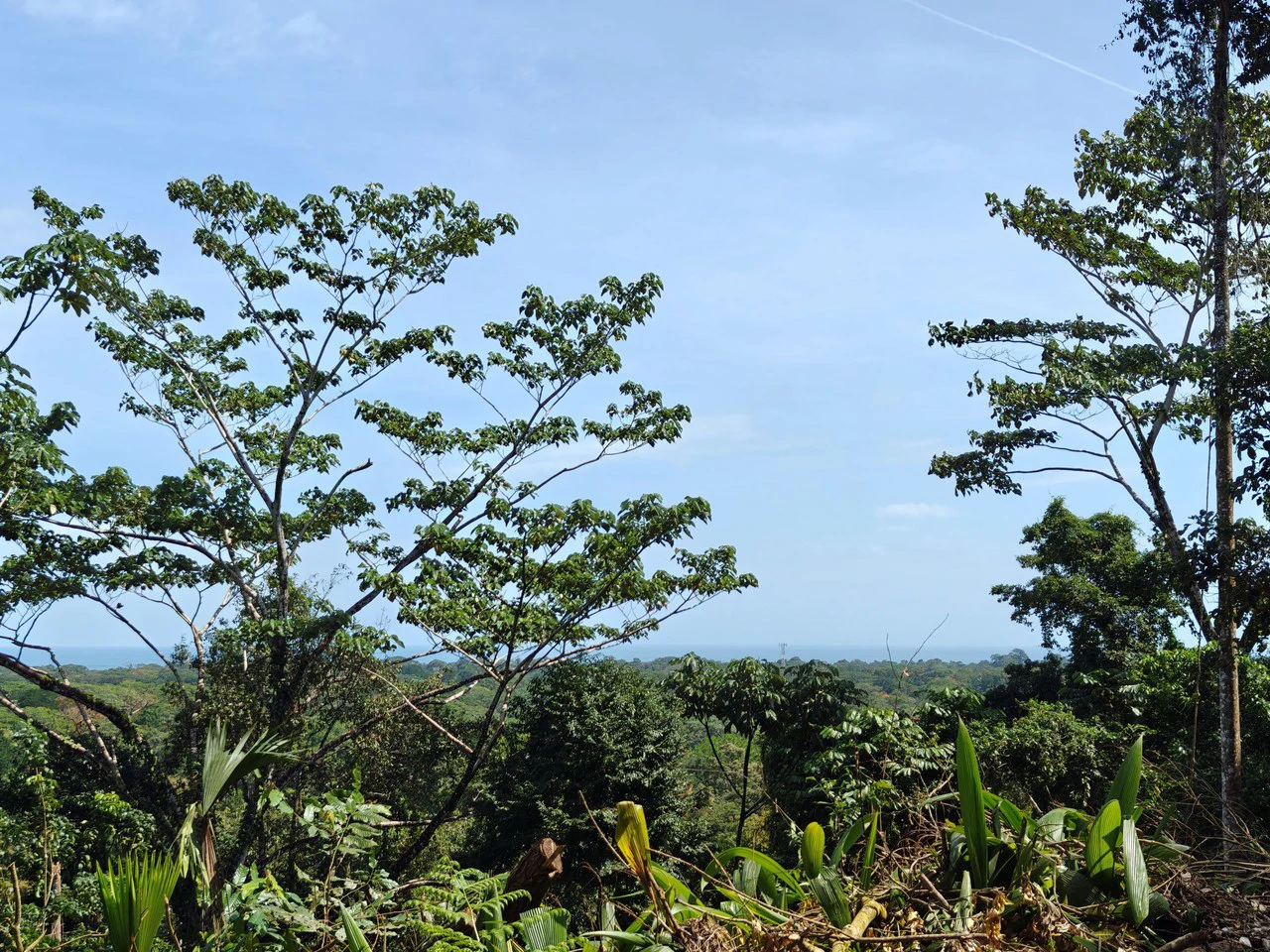 61,618m² of Land near Cahuita: With Existing Infrastructure and Ocean View - Gallery image 2