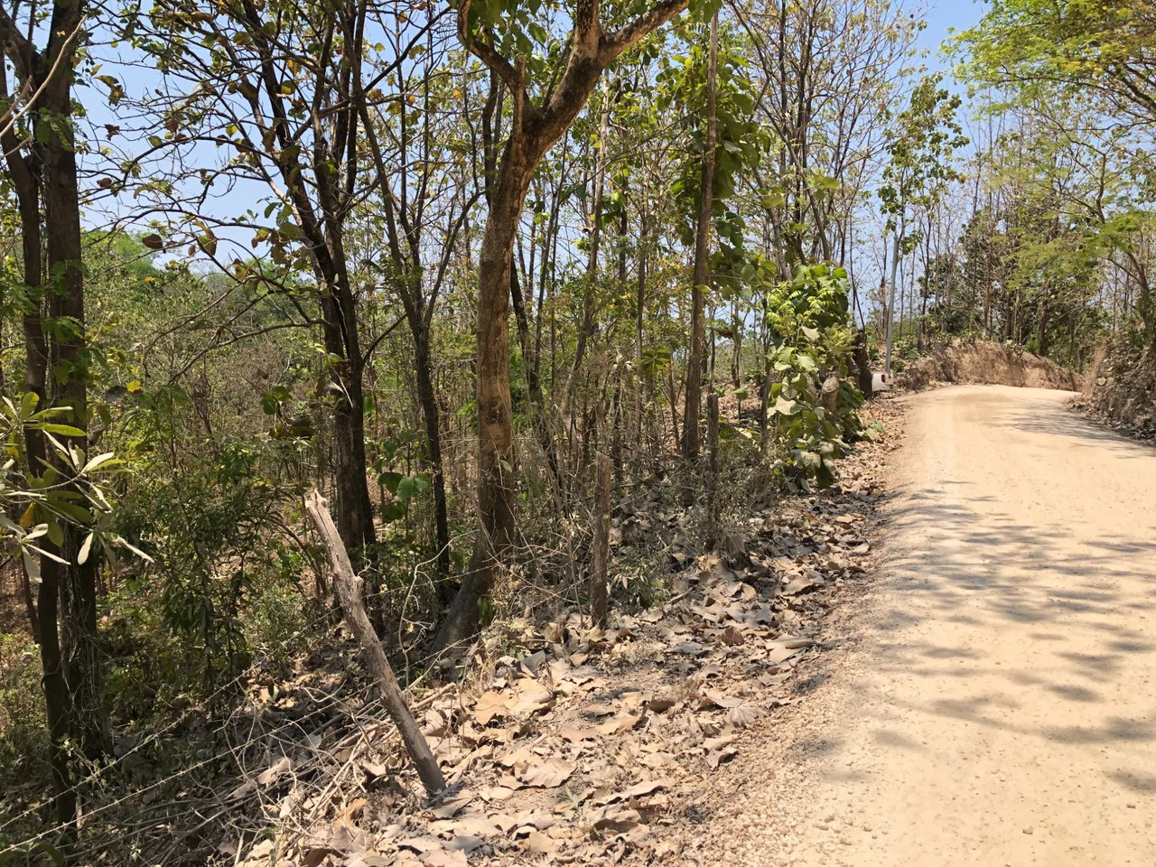 Prime Real Estate Opportunity, Lot with Creek Border in Santo Domingo hills - Gallery image 12