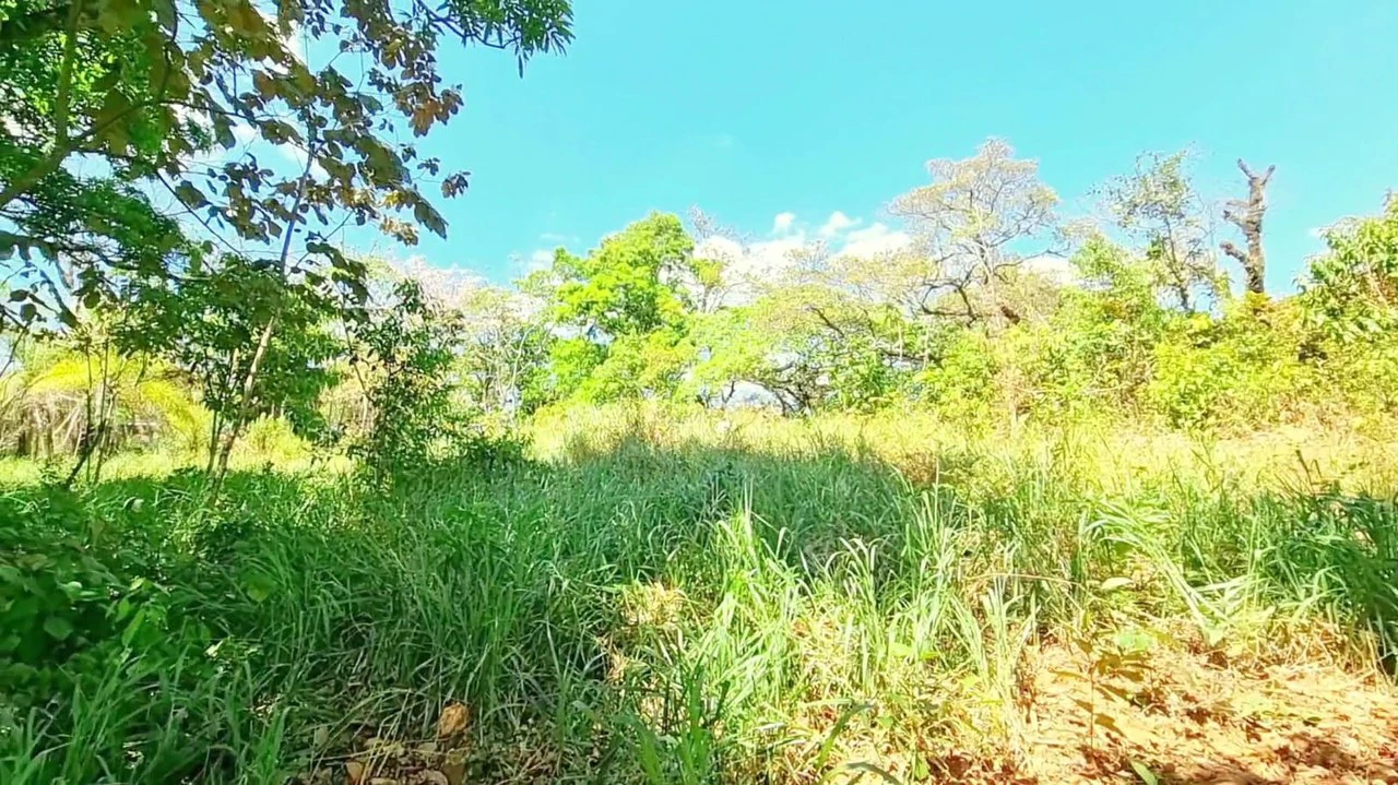 Lot for sale in Alegria Village: BEAUTIFUL LOT FOR SALE IN THE HEART OF ALEGRIA VILLAGE (10602 SQFT) - Gallery image 2