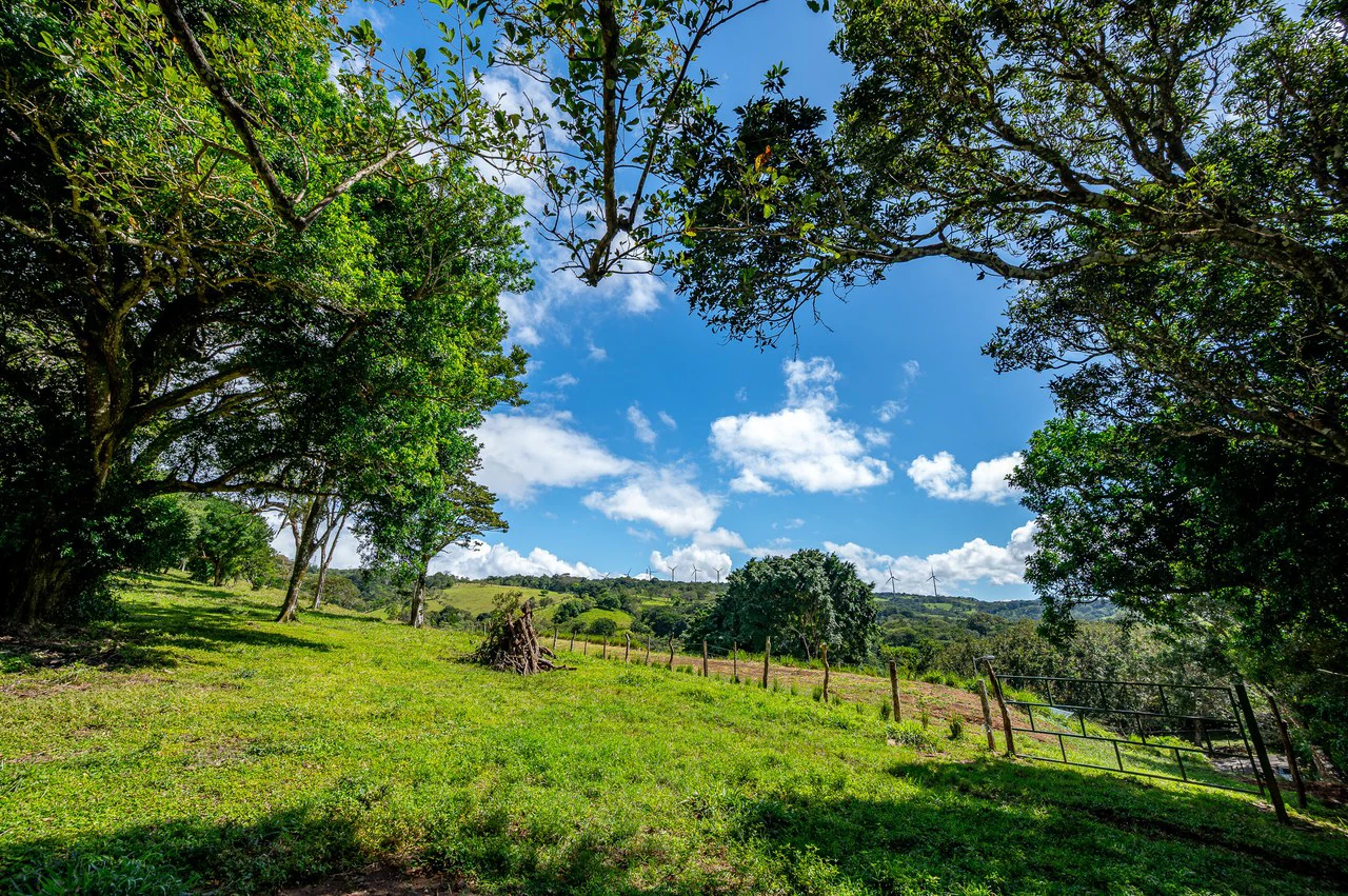 LA CABAÑA - COUNTRY ESTATE WITH HUGE POTENTIAL - Gallery image 51