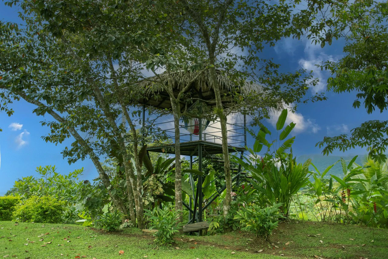 Ocean View Home Perezoso Road, Ojochal - Gallery image 54