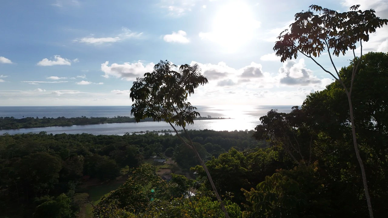 Stunning Ocean and Terraba River view property in Ojochal - Gallery image 12