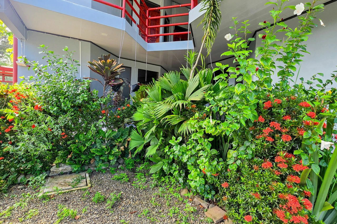 Near the Coast Multiplex For Sale in Bahía Ballena - photo 13