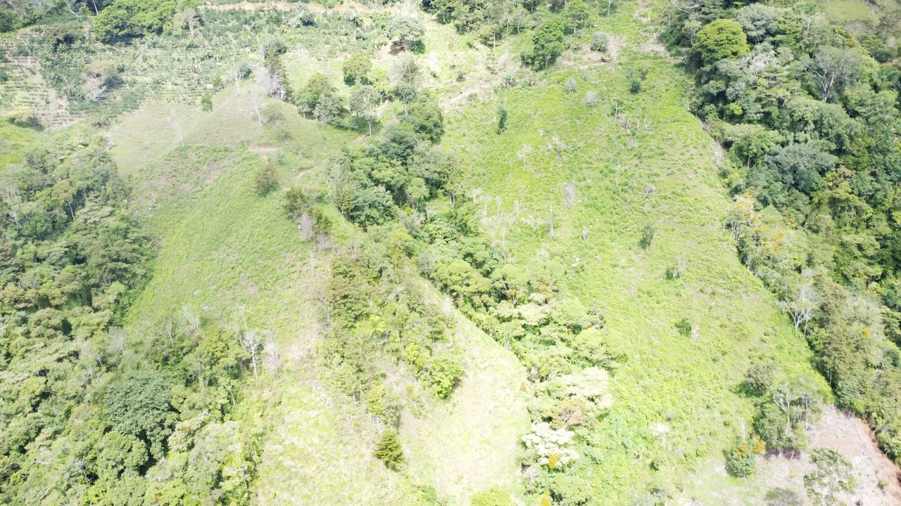 LOTE EN HERRADURA RIVAS.: Mountain Agricultural Land For Sale in San Isidro del General - Gallery image 26