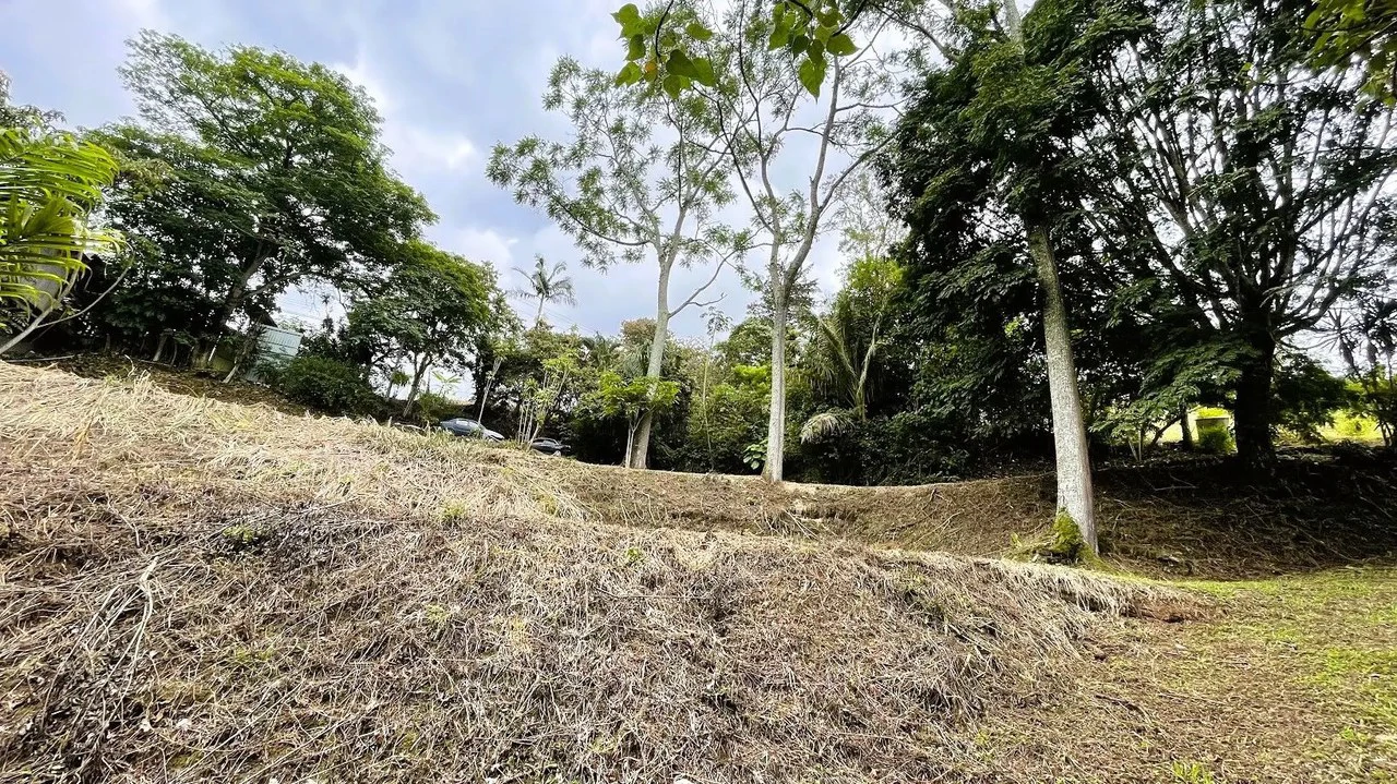 LAND FOR SALE IN SAN MIGUEL, NARANJO - Gallery image 13