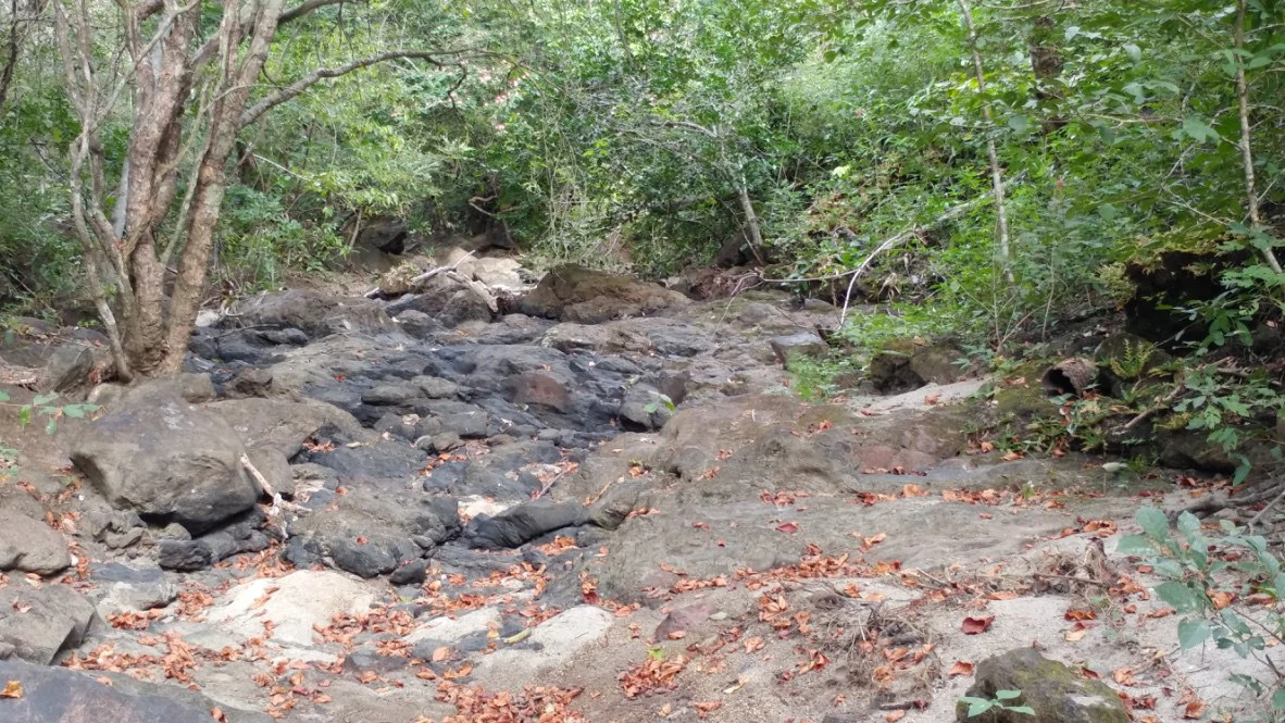 Mountain Farm for Sale in Liberia – Nature, Privacy, and High Investment Potential - Gallery image 7