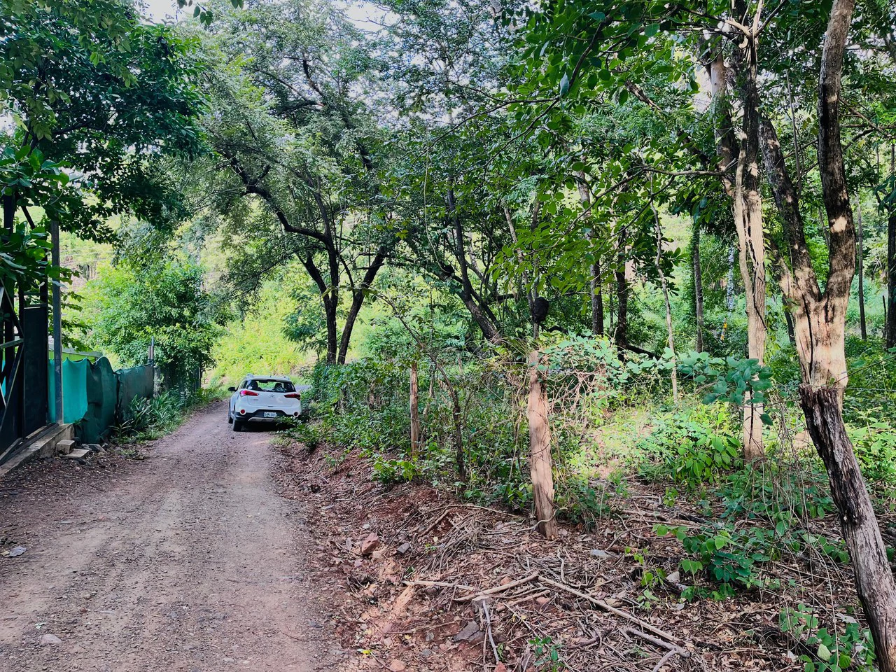 Los Jobos Lot: 1,146 m² Lot Just Minutes from Tamarindo – Paved Road, Water & Electricity - photo 16