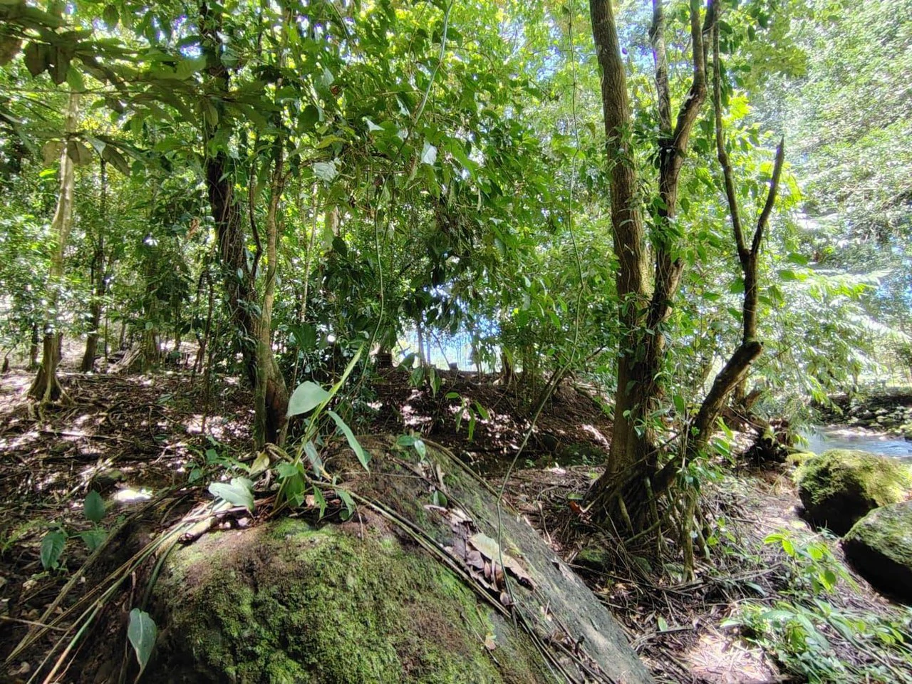 TERRENO EN VENTA, PUNTARENAS.: Mountain Home Construction Site For Sale in Hatillo - Gallery image 22