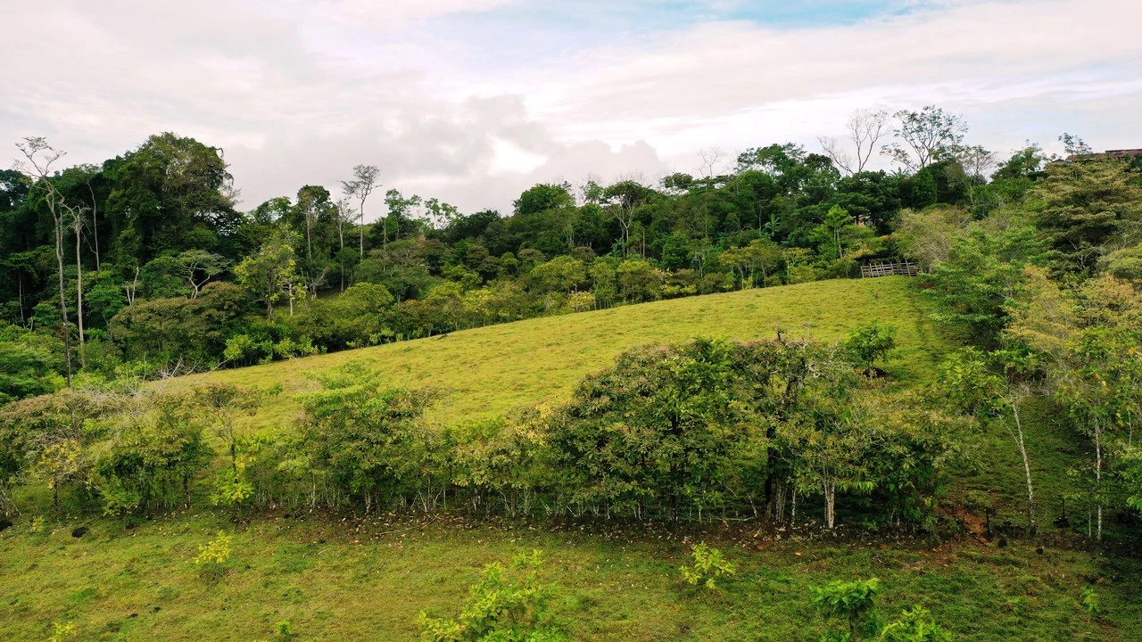 45 Acre Premier Riverfront Ranch in Santa Teresa Pérez Zeledón - Gallery image 13