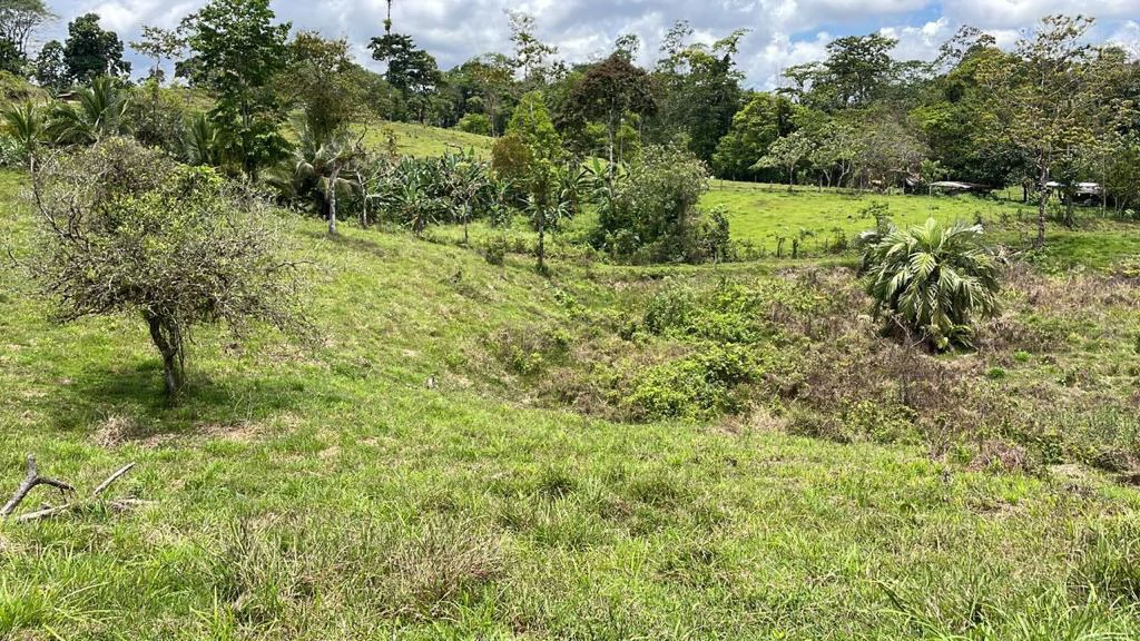 Building potential property for sale, beautiful land in the pure nature close to Bijagua - Gallery image 9