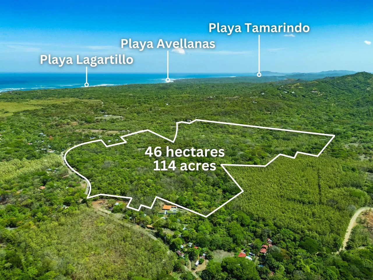 Finca 46Ha: Private Sanctuary with River and Forest - Gallery image 10