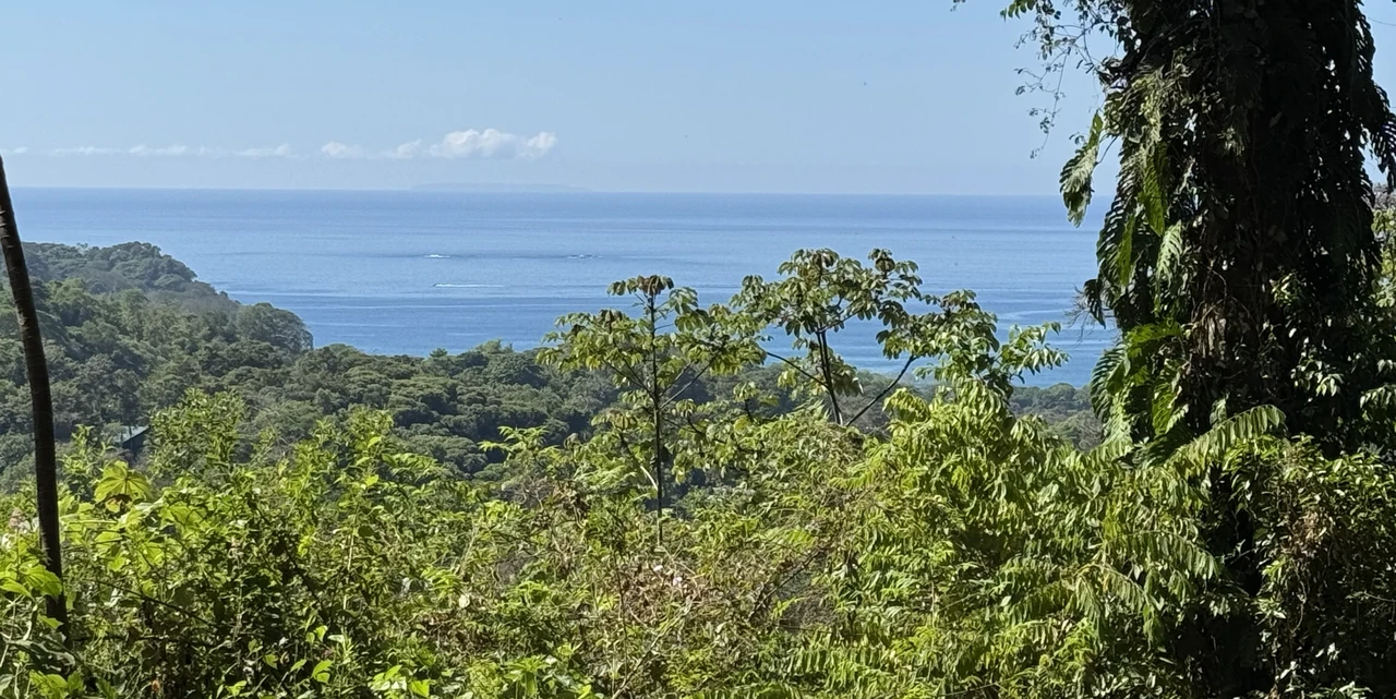 Two Ocean View Lots in Uvita – Easy Access and Large Building Sites - Gallery image 3