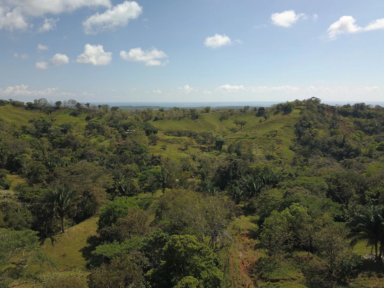 Finca Guapinol de Parrita: Near the Coast, Mountain and Countryside Agricultural Land For Sale in Parrita - Gallery image 11